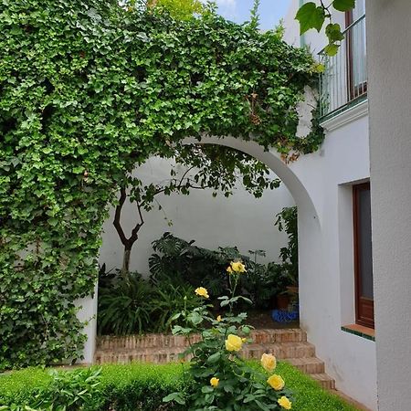 Entre 2 Mezquitas Lägenhet Córdoba Exteriör bild