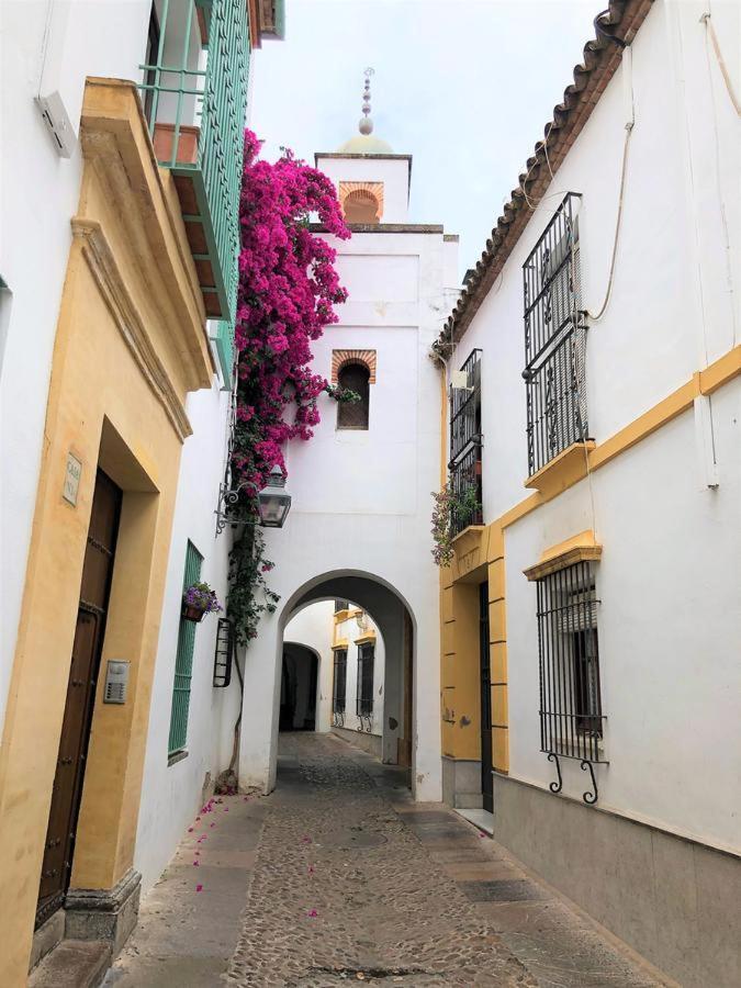 Entre 2 Mezquitas Lägenhet Córdoba Exteriör bild
