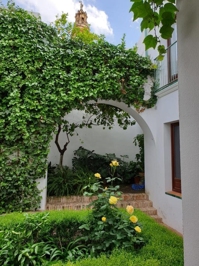 Entre 2 Mezquitas Lägenhet Córdoba Exteriör bild